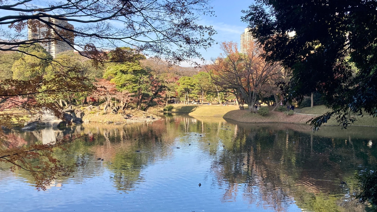 東京の紅葉シーズン2026｜都立9庭園でスタンプラリー、見頃時期も